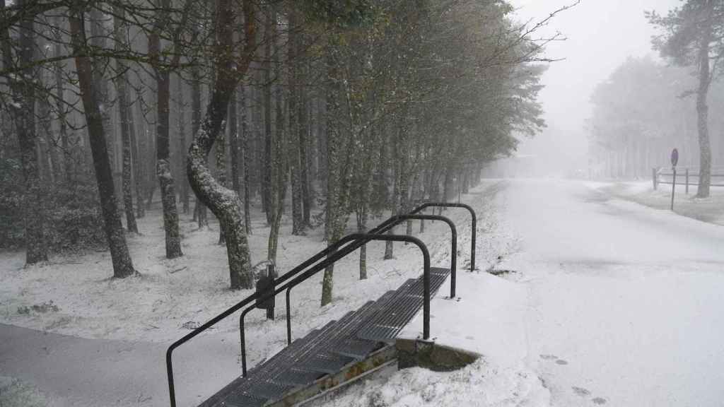 Una zona cubierta de nieve en la estación de esquí de Manzaneda.