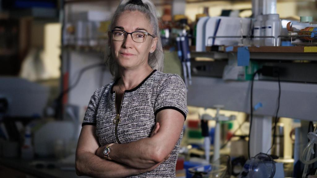 Eva Nogales, en su laboratorio de Berkeley.