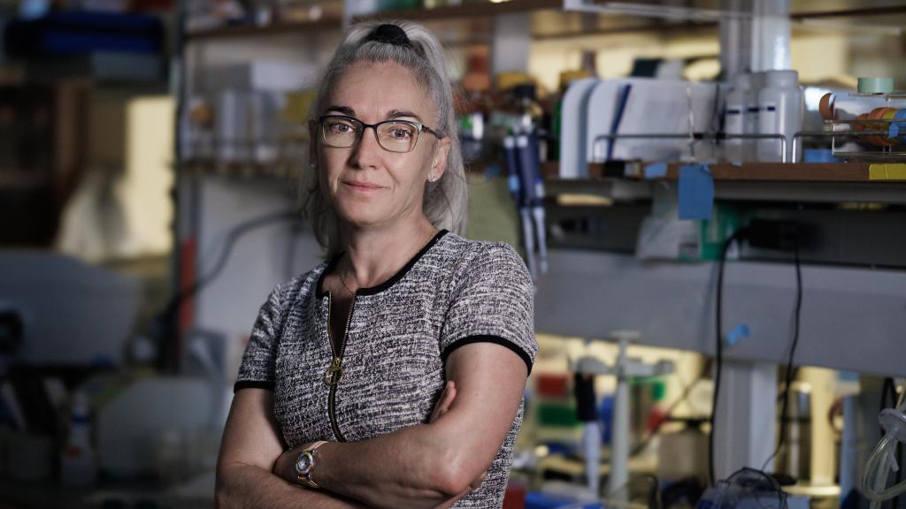 Eva Nogales, en su laboratorio de Berkeley.