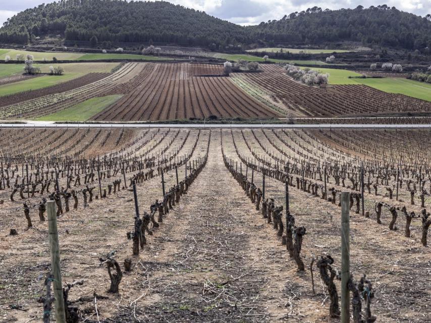 José Manuel Ballester: 'Camino de Castillo de Davalillo Haro', 2023