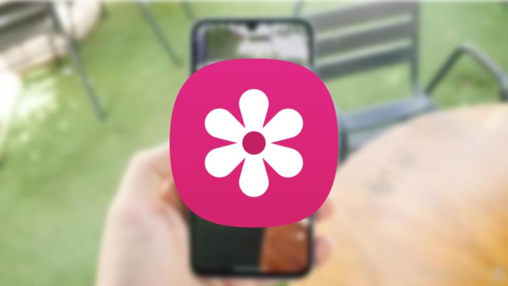 Icono de la app de galería de Samsung