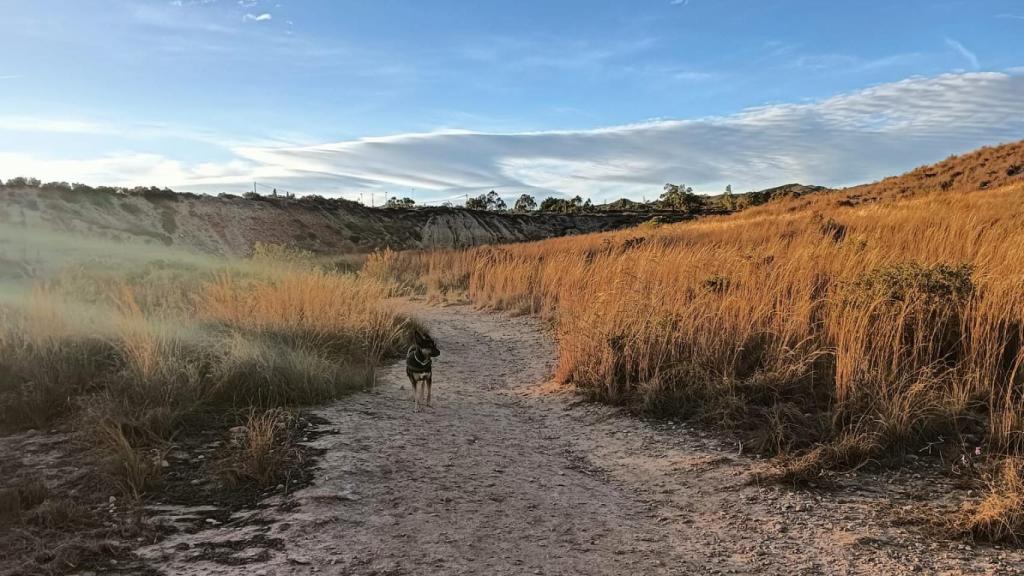 El Pantano de Elche ofrece varias rutas para escapar de la rutina.