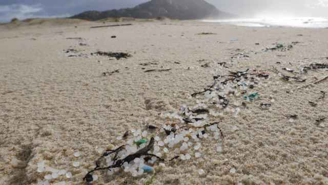 Pequeños plásticos, conocidos como pellets, en las costas gallegas