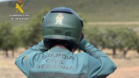 Agente del Seprona de la Guardia Civil.