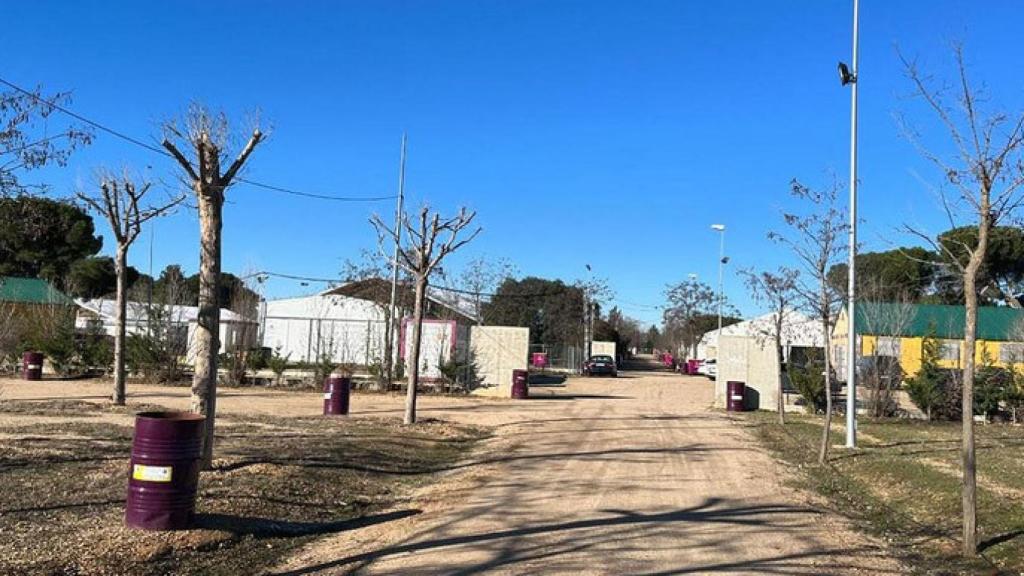 El nido de Pingüinos en la Antigua Hípica