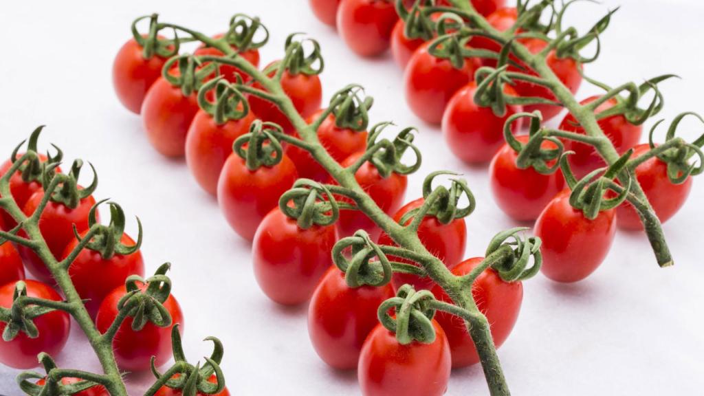 Los tomates 'cherry' pera Lobello de Caparrós.