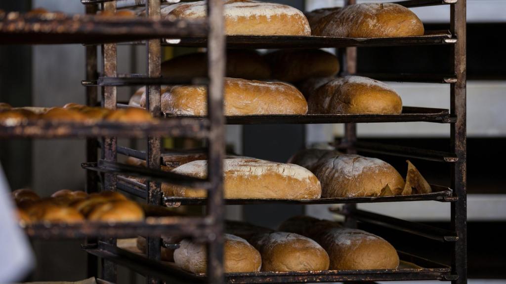 Los tradicionales obradores de pan de leña podrían desaparecer:  este es el motivo