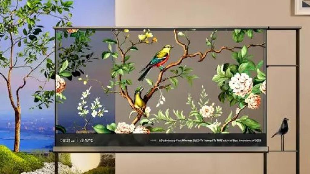 LG OLED T