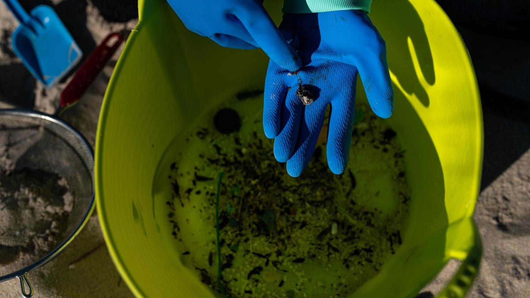 Voluntarios hacen una recogida de pellets de la arena en A Coruña.