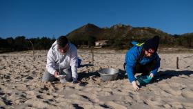 Dos personas recogen pellets de la arena en A Coruña.