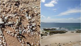 Pellets en una playa de Galicia