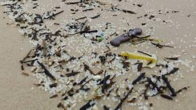 Pellets aparecidos en la costa gallega.