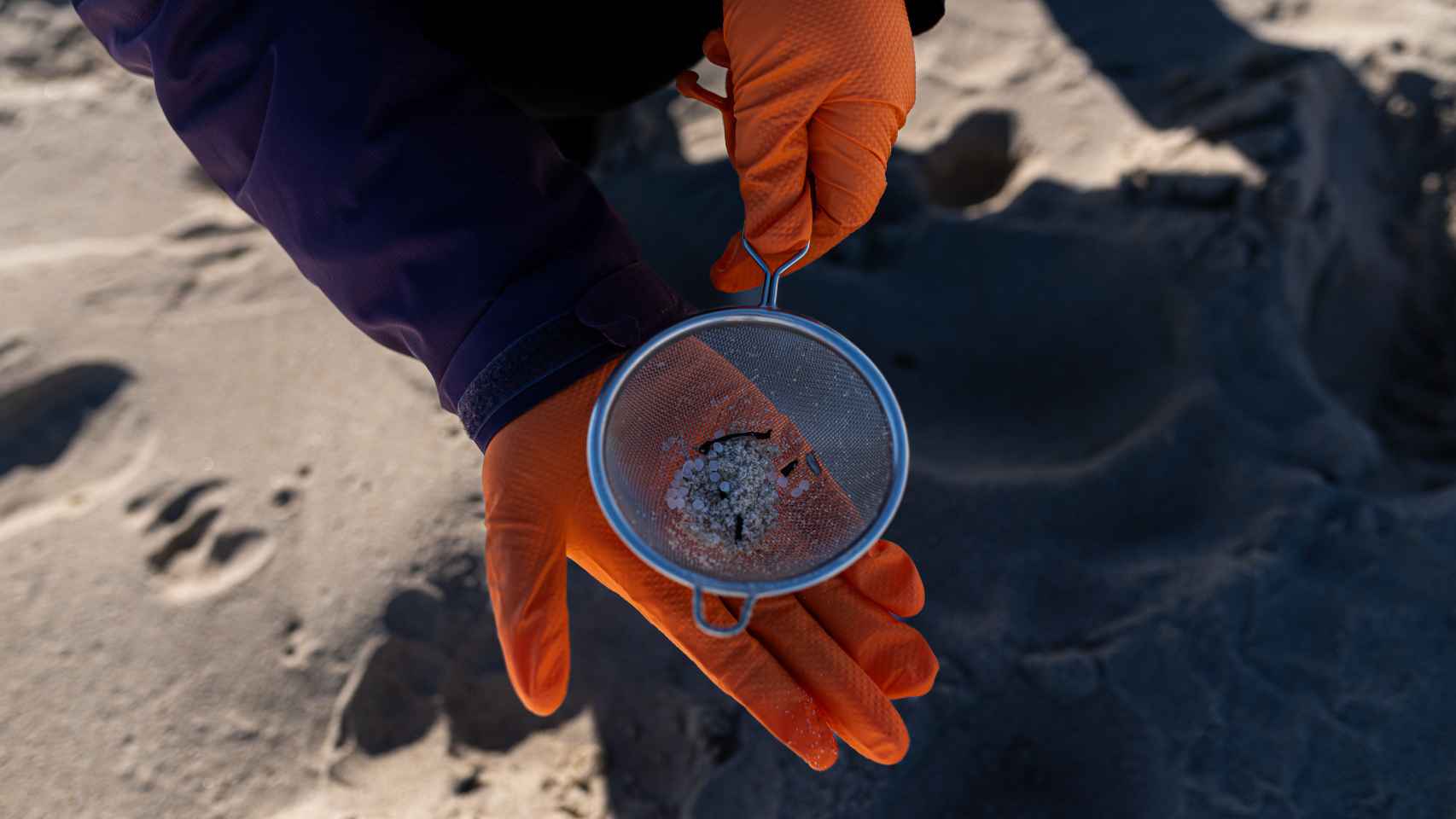 Voluntarios hacen una recogida de 'pellets' de plástico en las playas de Galicia.