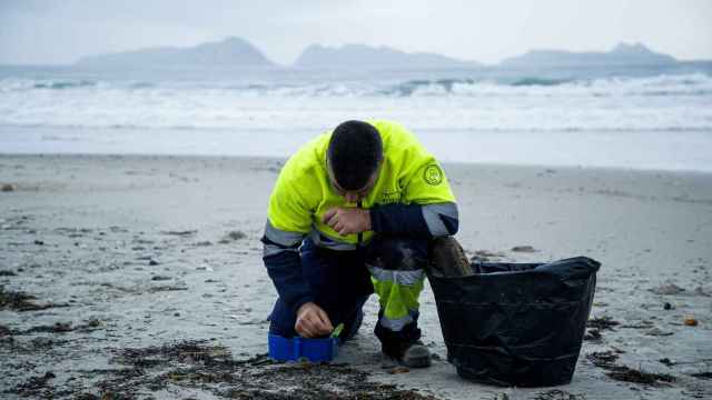 Un hombre recoge los 'pellets' de plástico acumulados en la playa de Patos, en Nigrán, A Coruña.