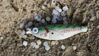 Un pez sintético, empleado como señuelo de pesca, entre varios pellets de plástico