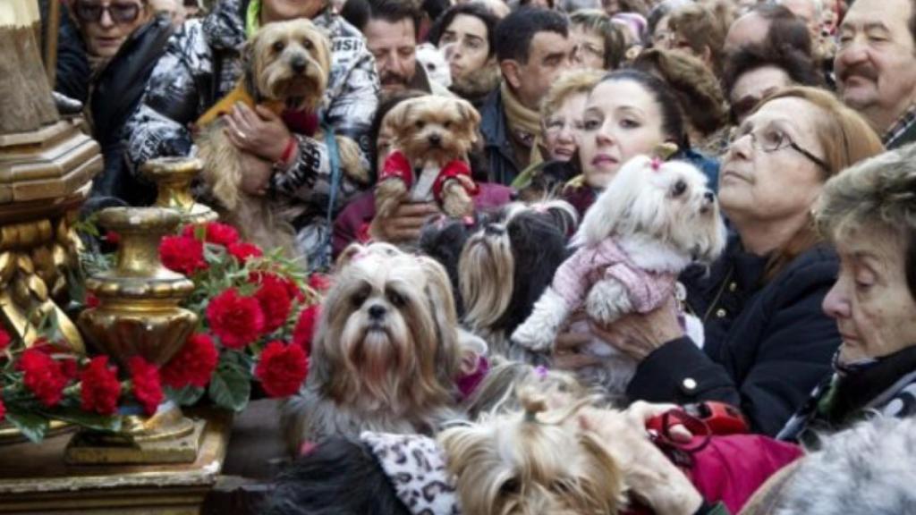Una imagen de las fiestas de San Antón.