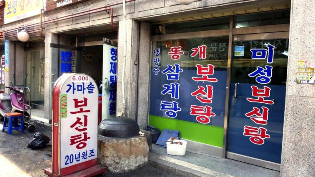 Corea prohibe el consumo humano de carne de perro: incumplirlo conlleva hasta dos años de cárcel