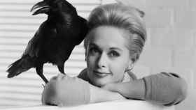 Tippi Hedren una imagen publicitaria para la película 'Los pájaros'.