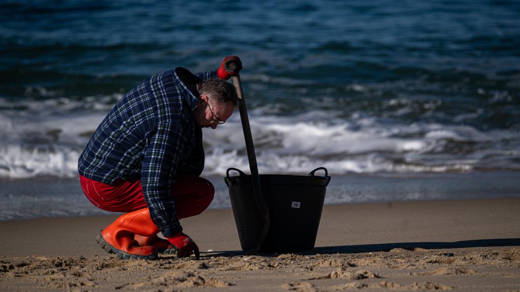 Voluntarios hacen una recogida de pellets de la arena, Galicia, a 7 de enero de 2024, en A Coruña, Galicia.