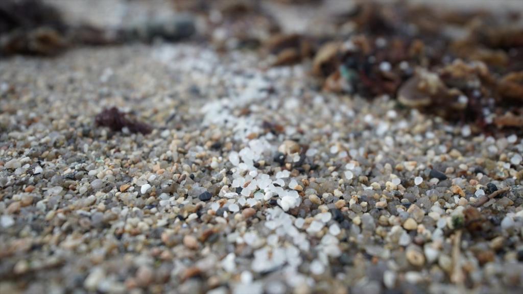 Pellets de plástico en la playa de Sabón en A Coruña, Galicia.