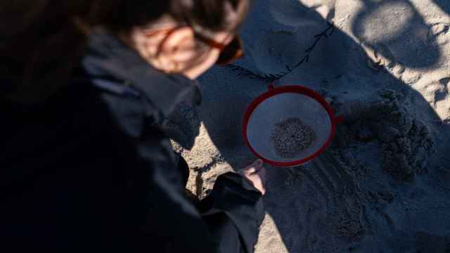 Una voluntaria recoge pellets de la arena, en La Coruña, Galicia.