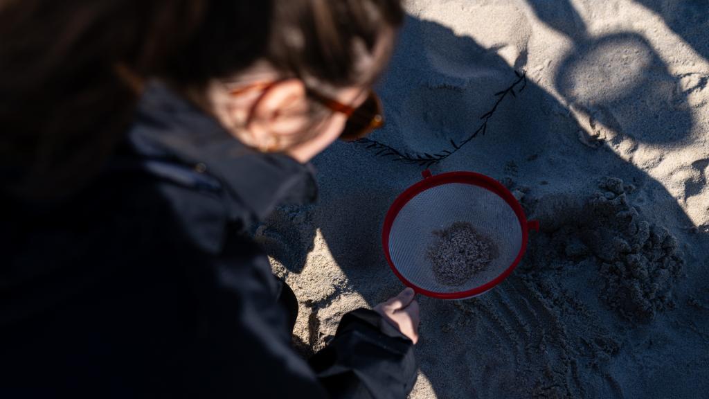 Una voluntaria recoge pellets de la arena, en La Coruña, Galicia.
