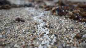 Voluntarios vuelven a limpiar las playas gallegas afectadas por el vertido de pellets de plástico.