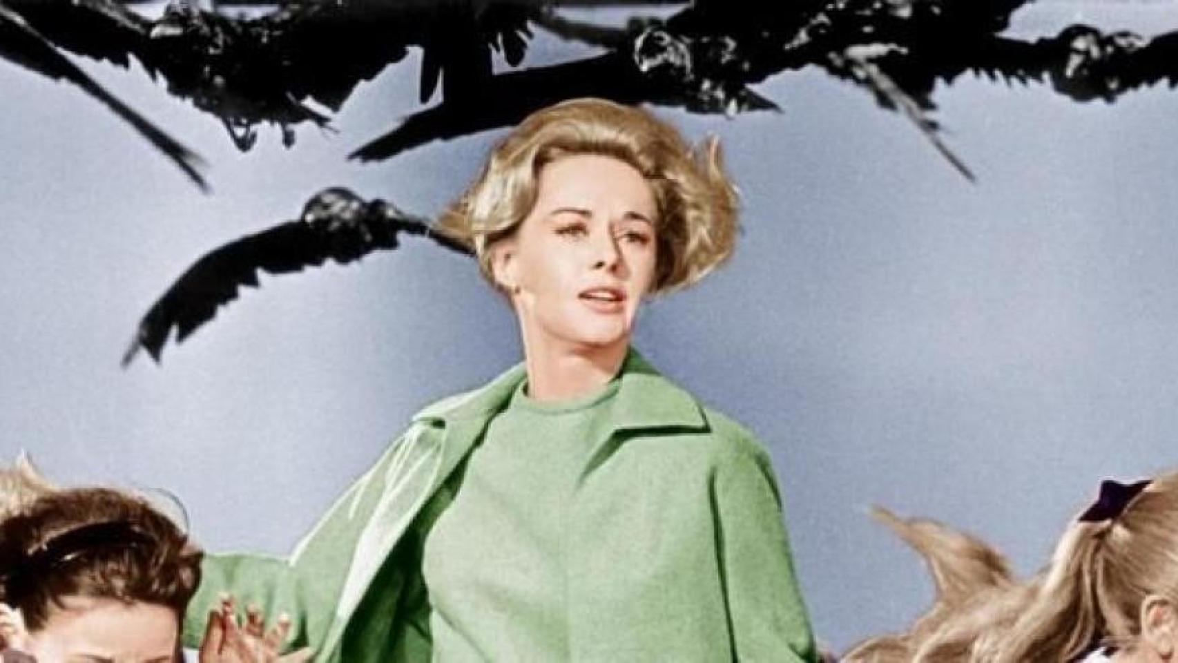 Fotograma de la película 'Los pájaros'.