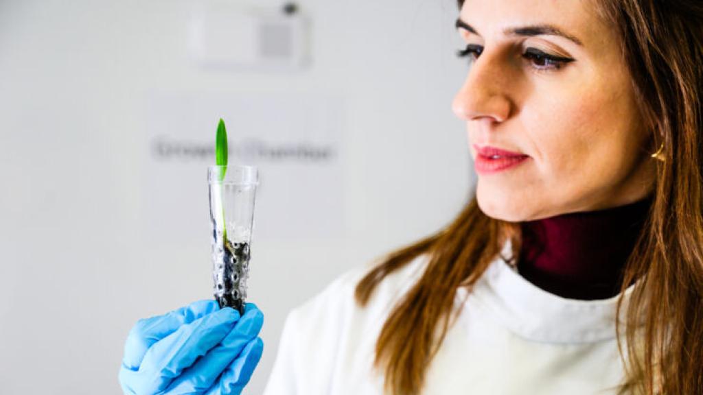 Dra. Eleni Stavrinidou con eSoil, cultivo hidropónico eléctrico