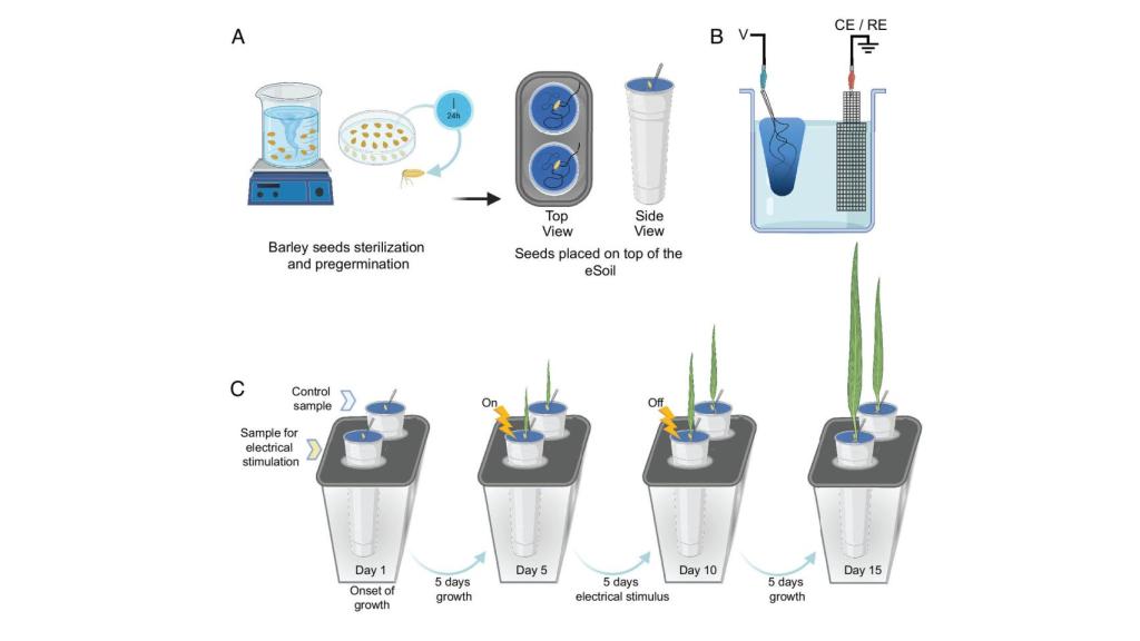 Ilustración del informa de eSoil sobre su funcionamiento