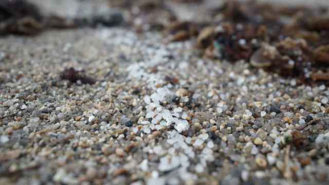 Pellets de plástico en la playa de Sabón.