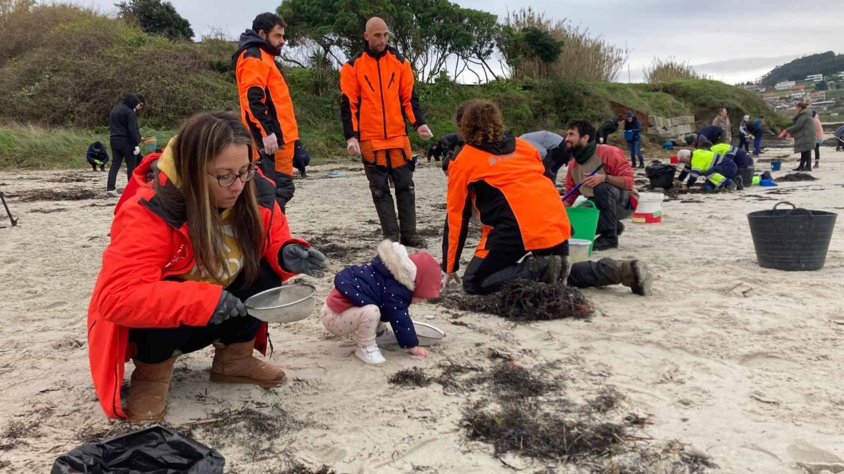 Recogida de pellets en la playa de Patos.