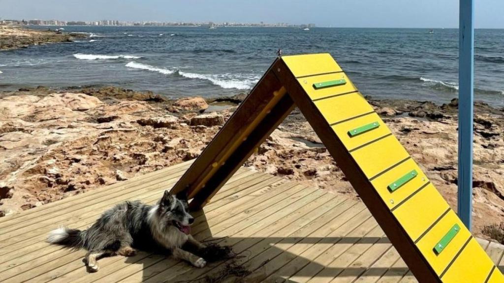 Uno de los juegos de agility en la playa canina de Torrevieja.