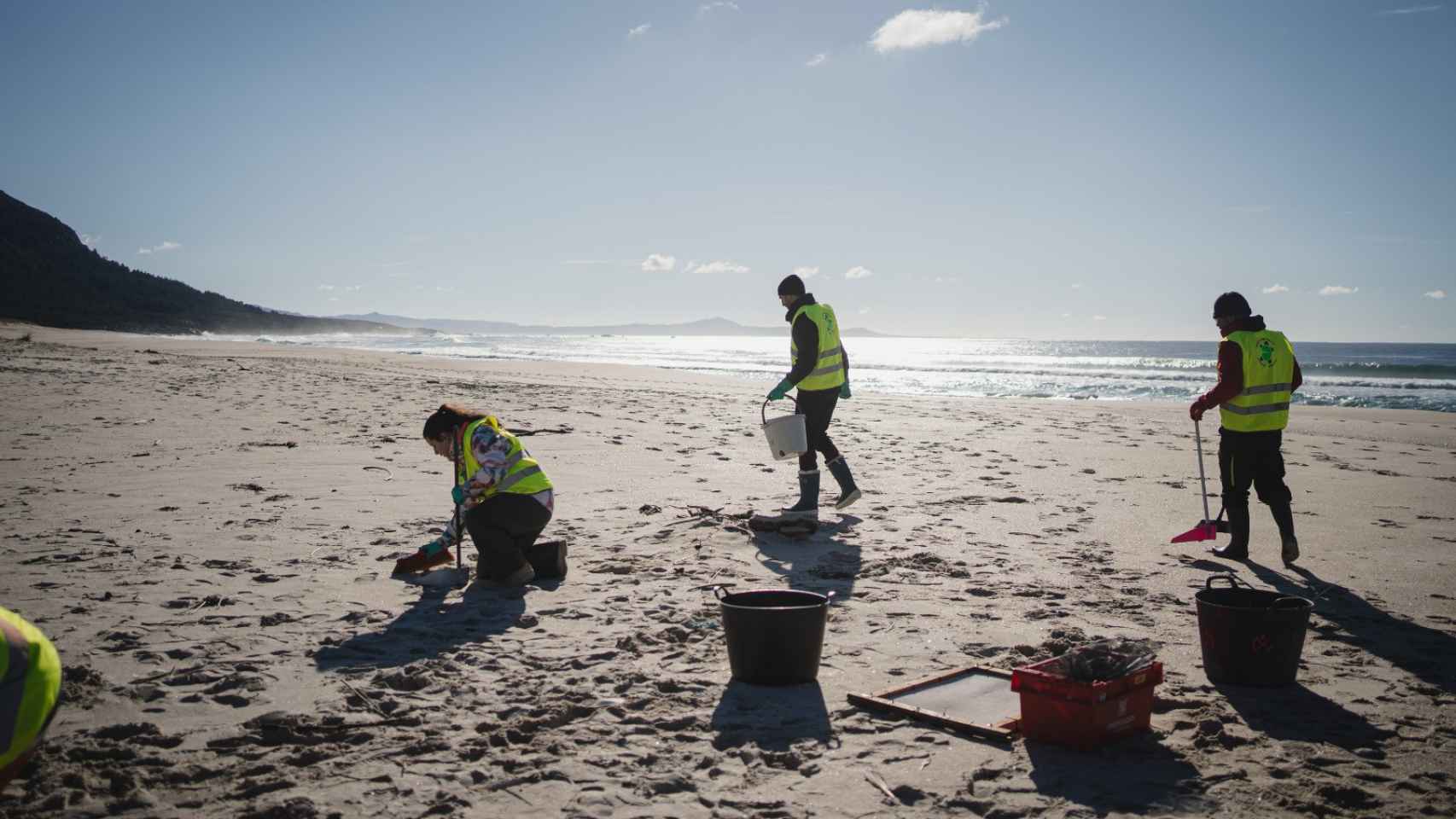 Una docena de trabajadores limpian la playa de Muros