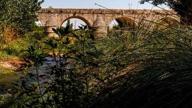 Conoce cuál es el sendero más bonito de Madrid reconocido como una de las mejores de España.