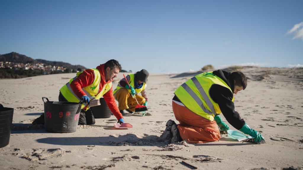Personal contratado por una empresa limpia la playa de Area Maior en Muros (A Coruña)