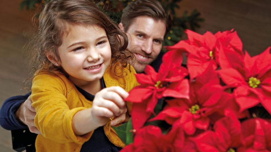 Una familia con su flor de pascua.