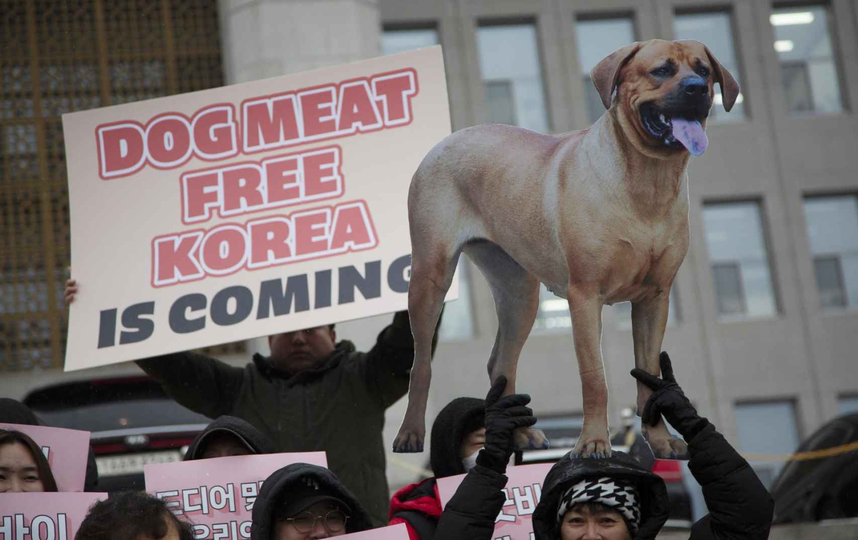Miembros de grupos animalistas sostienen pancartas para celebrar la aprobación de una ley que prohíbe el comercio de carne de perro, en la Asamblea Nacional de Soeul, Corea del Sur, 9 de enero de 2024.