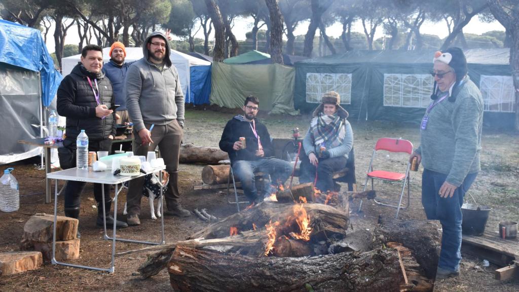 Compañerismo en Pingüinos