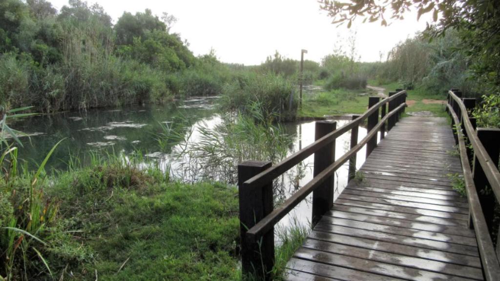 Vistas al Río Salinar.