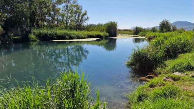 Parque Natural de la Marjal de Pego-Oliva es ideal para darse un respiro.