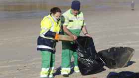Dos operarios recogen 'pellets' en las costas de Ferrol.