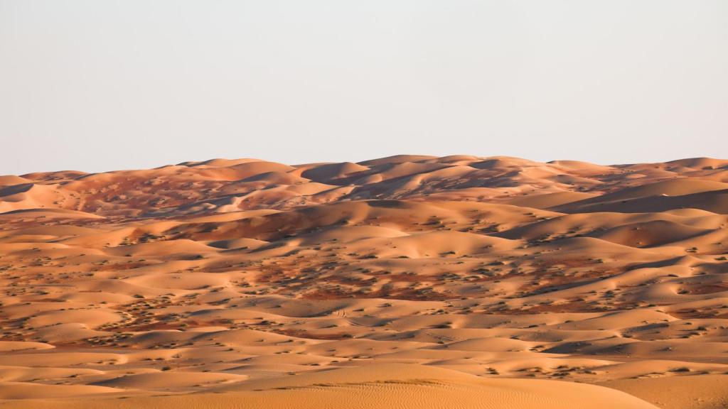Dunas en Subaytah (Arabia Saudí)