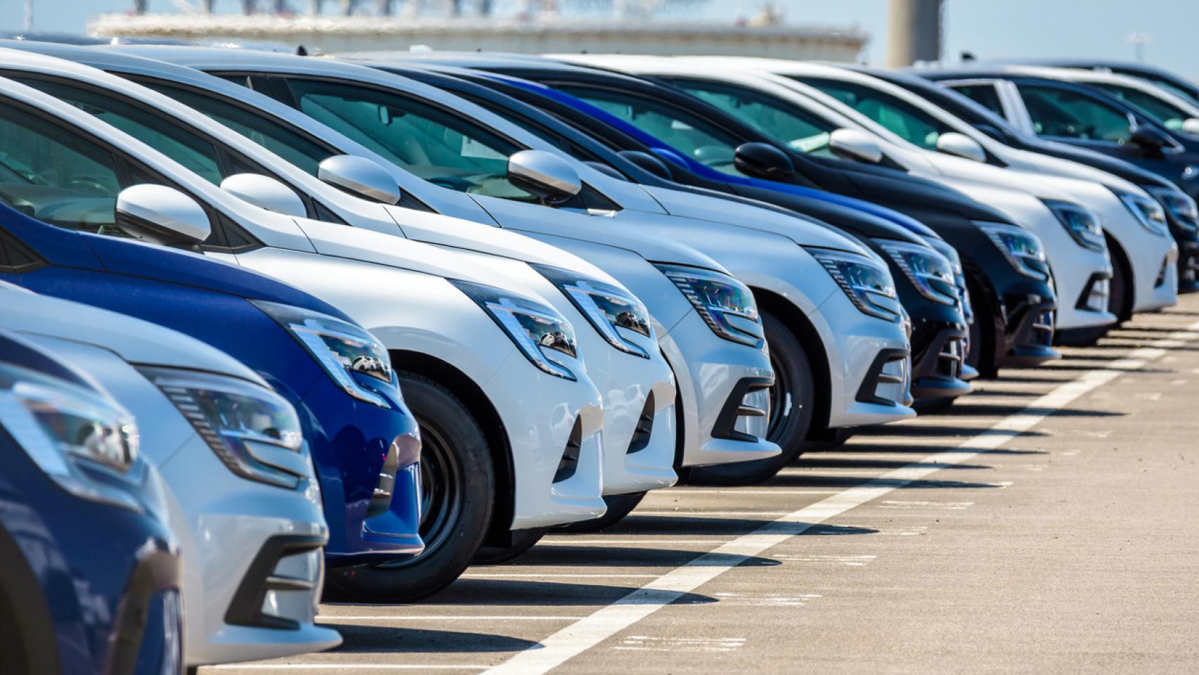 Coches en una campa.