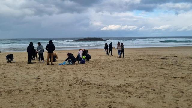 Alumnos de Valdoviño (A Coruña) se suman a las tareas de retirada de pellets de las playas