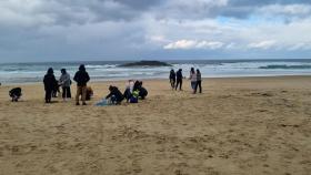 Alumnos de Valdoviño (A Coruña) se suman a las tareas de retirada de pellets de las playas