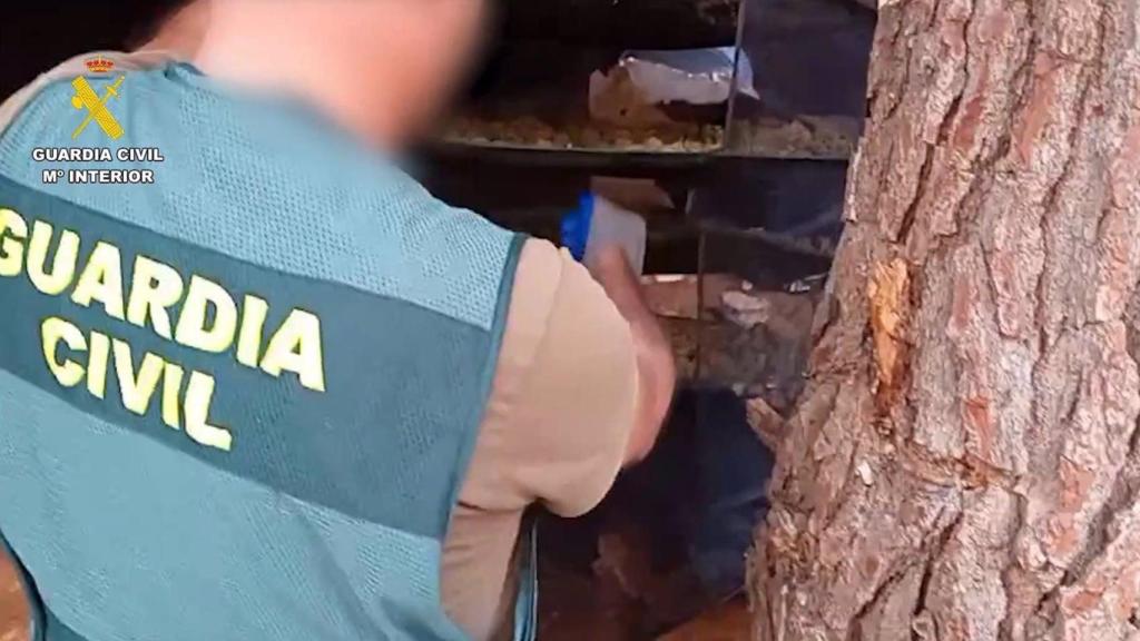 Imagen de la intervención de la Guardia Civil.