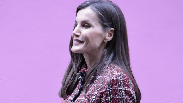 La reina Letizia, en el marco de su visita a APRAMP.