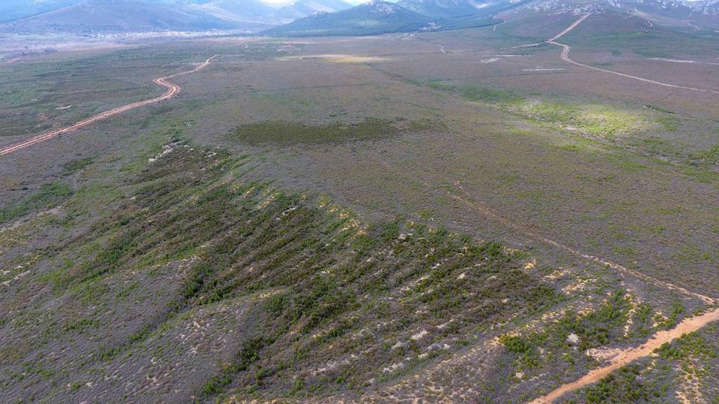 Restos de minas de oro romanas de tipo surco convergente (su explotación tiene forma de escoba) en Castrocontrigo, León.