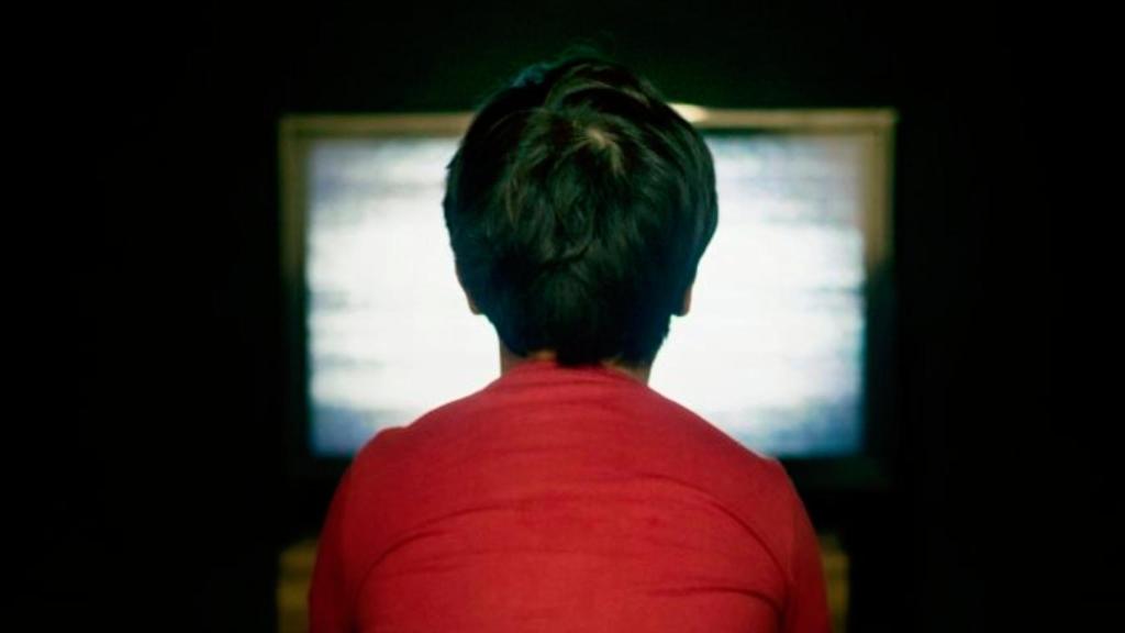 Un niño frente a una pantalla de ordenador.